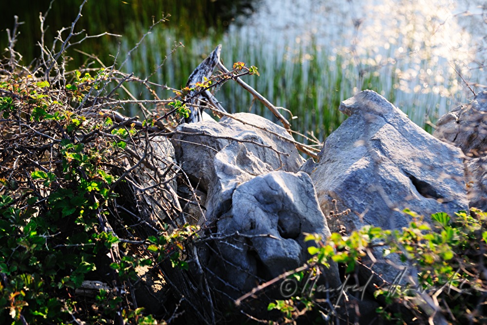 stone wall made of karst rock