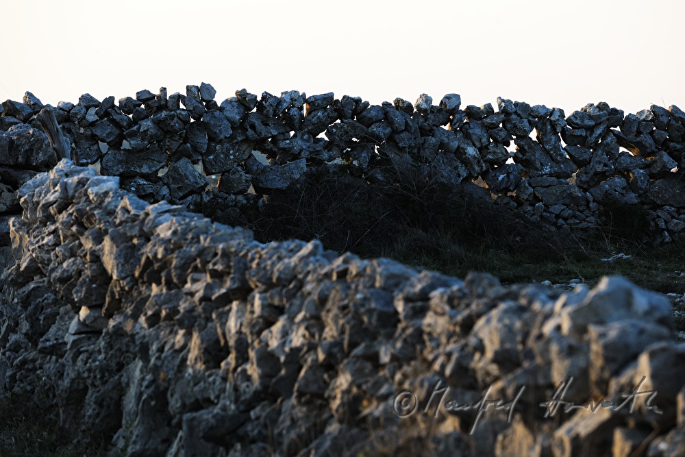 stone wall around a meadow