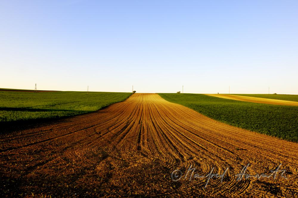 furrows in a freshly ploughed field