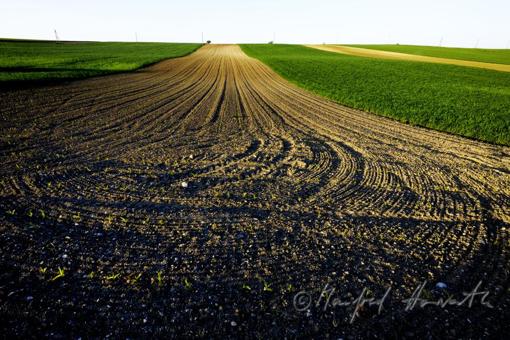 furrows in a freshly ploughed field