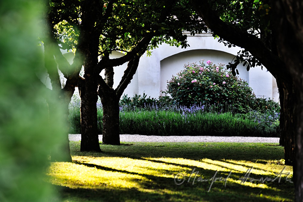 grove of apple trees in the chateau park