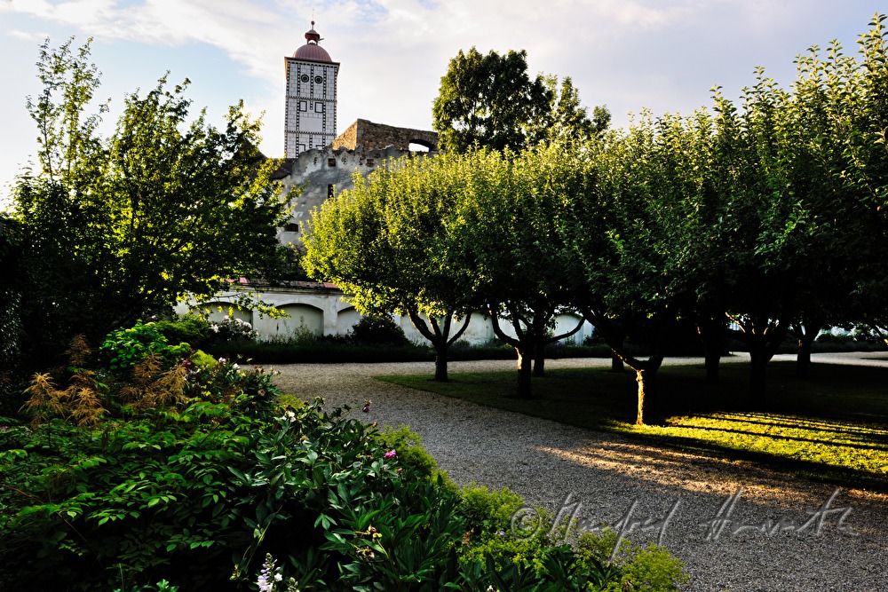 grove of apple trees in the chateau park