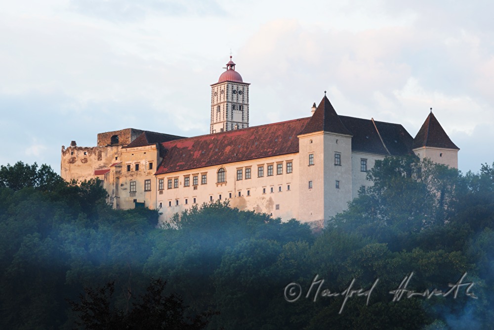 morning mist in the forest under the castle