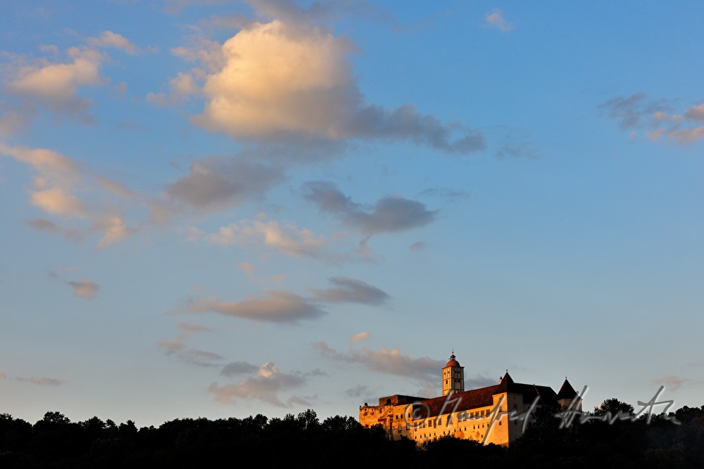 the castle is surrounded by mixed forest