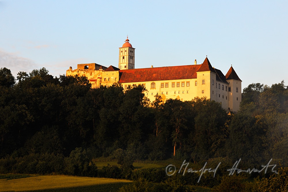 the castle is surrounded by mixed forest