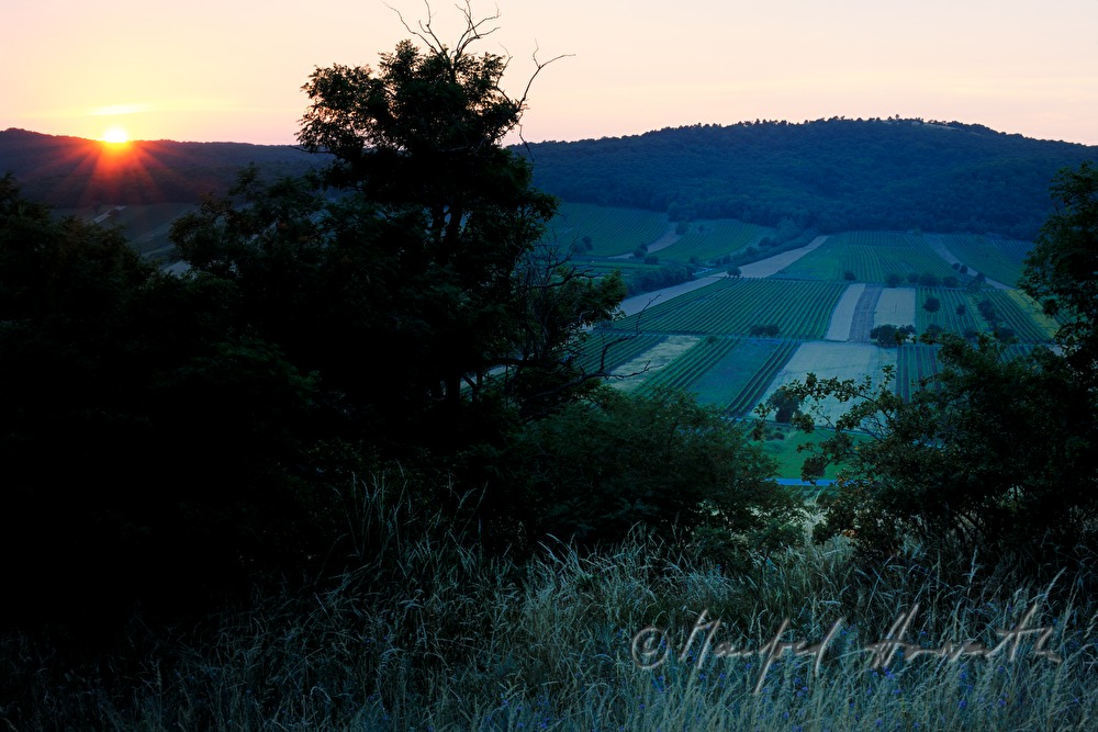 view from the Hackelsberg to the vineyards of the Leithagebirge