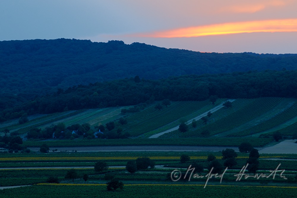 view from the Hackelsberg to the vineyards of the Leithagebirge