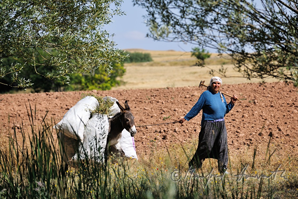 countrywoman with donkey