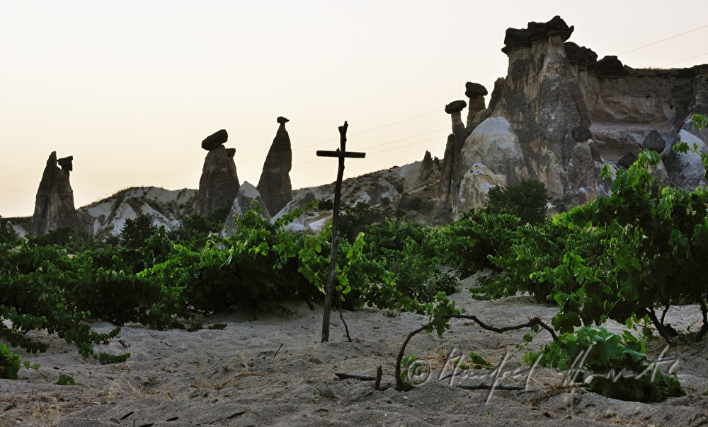 tuff rocks and vineyard