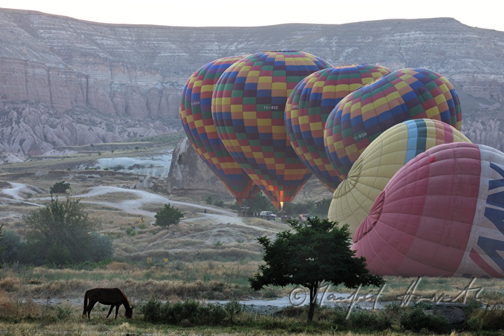 hot-air balloons at the take-off site