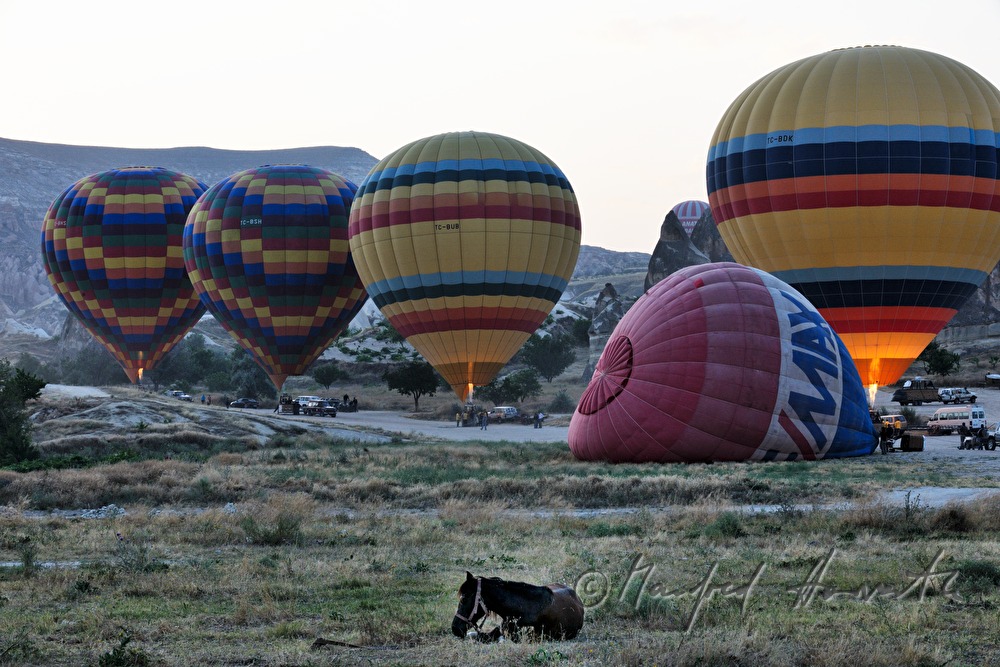hot-air balloons at the take-off site