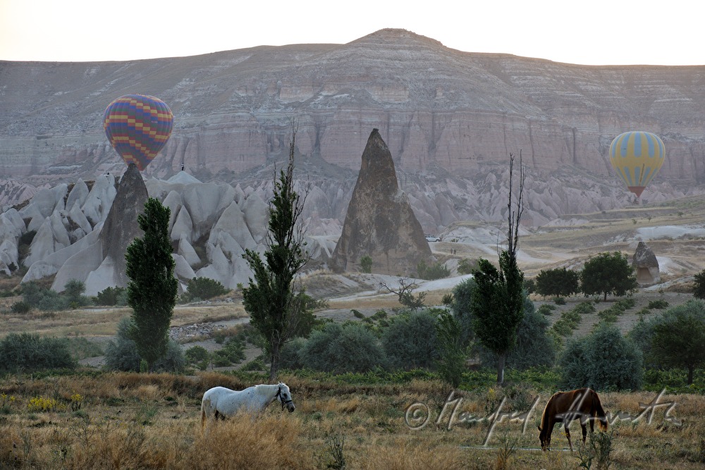 hot-air balloons at the take-off site