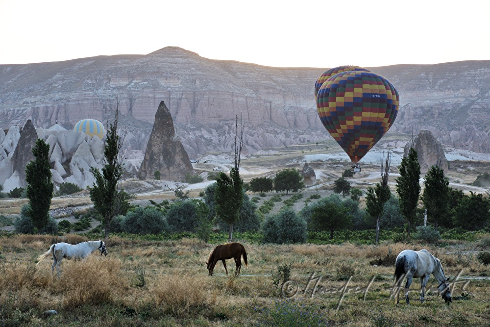 hot-air balloons at the take-off site