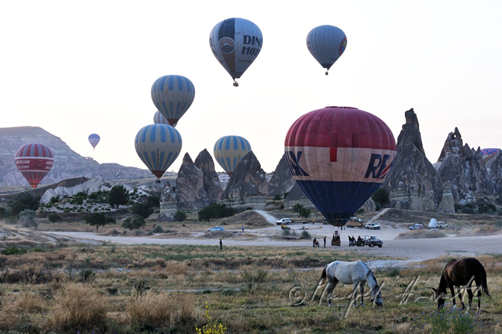 hot-air balloons at the take-off site