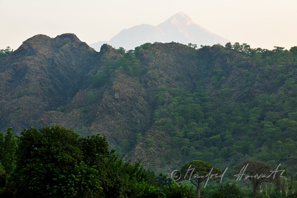 Mount Olympos and forest of the National Park