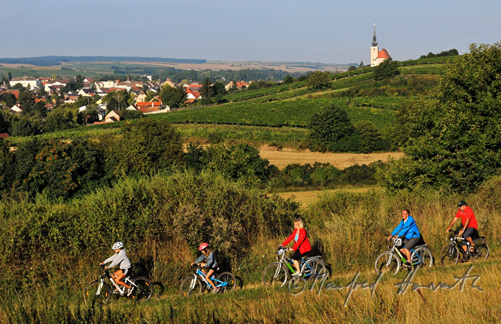 cyclists on their way thtough the vineyards