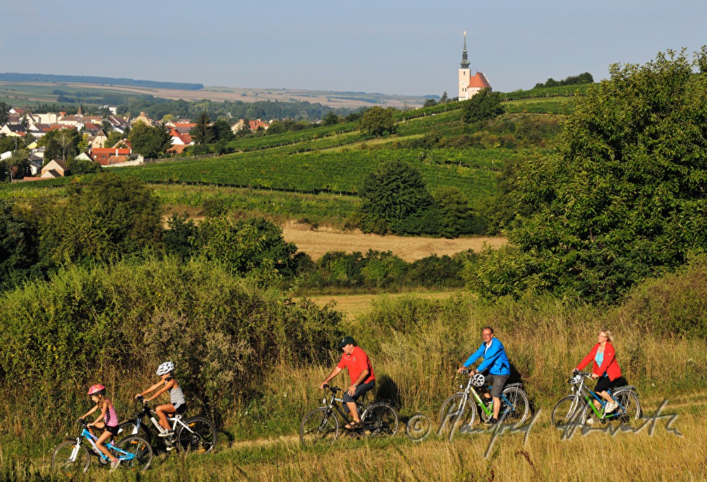 cyclists on their way thtough the vineyards