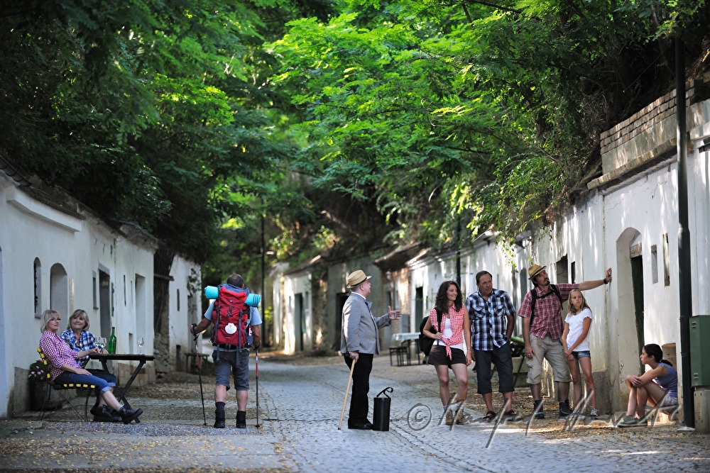 guide for wine cellar streets