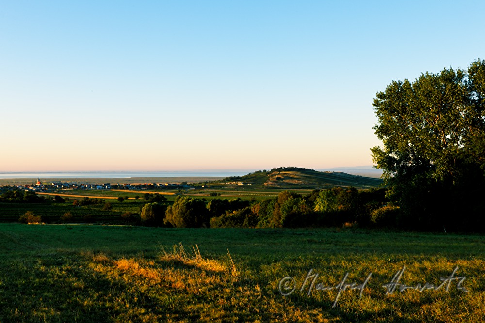 view fron the slopes of the Leithagebirge
