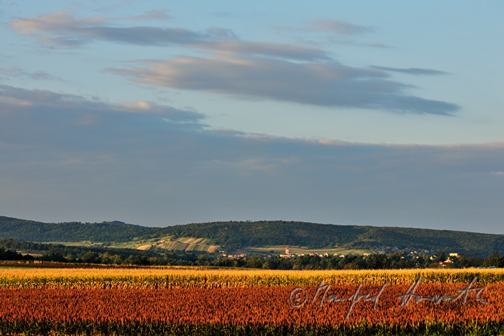 village and gentle slopes of the Leithagebirge