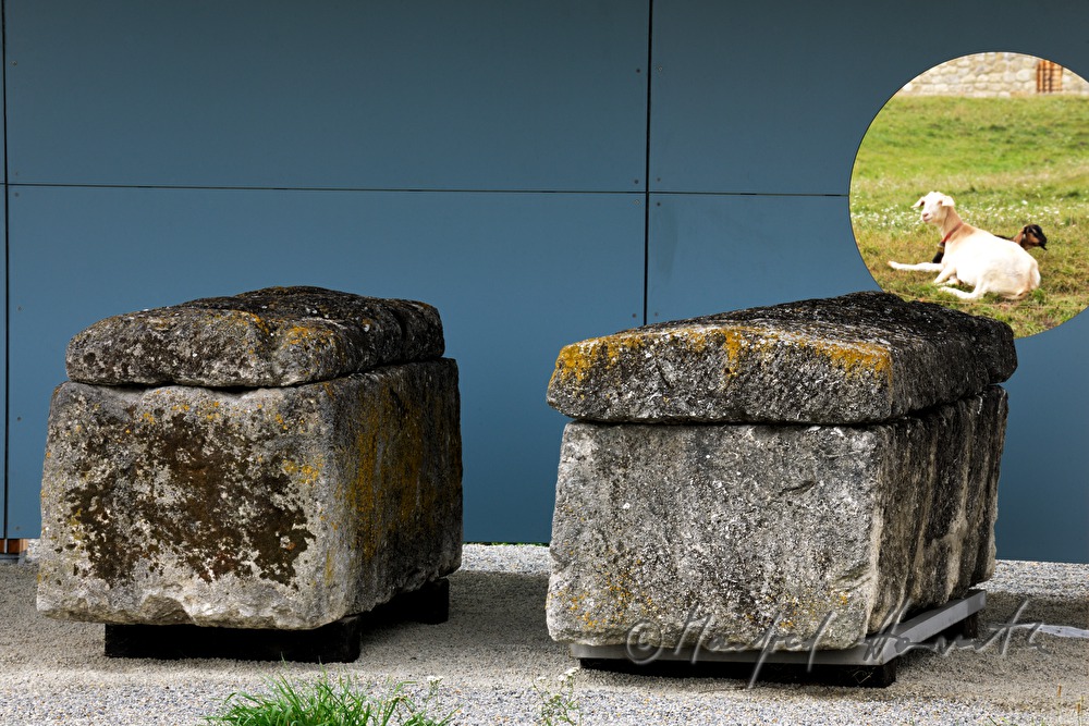 Avar sarcophaguses from the 8 th century
