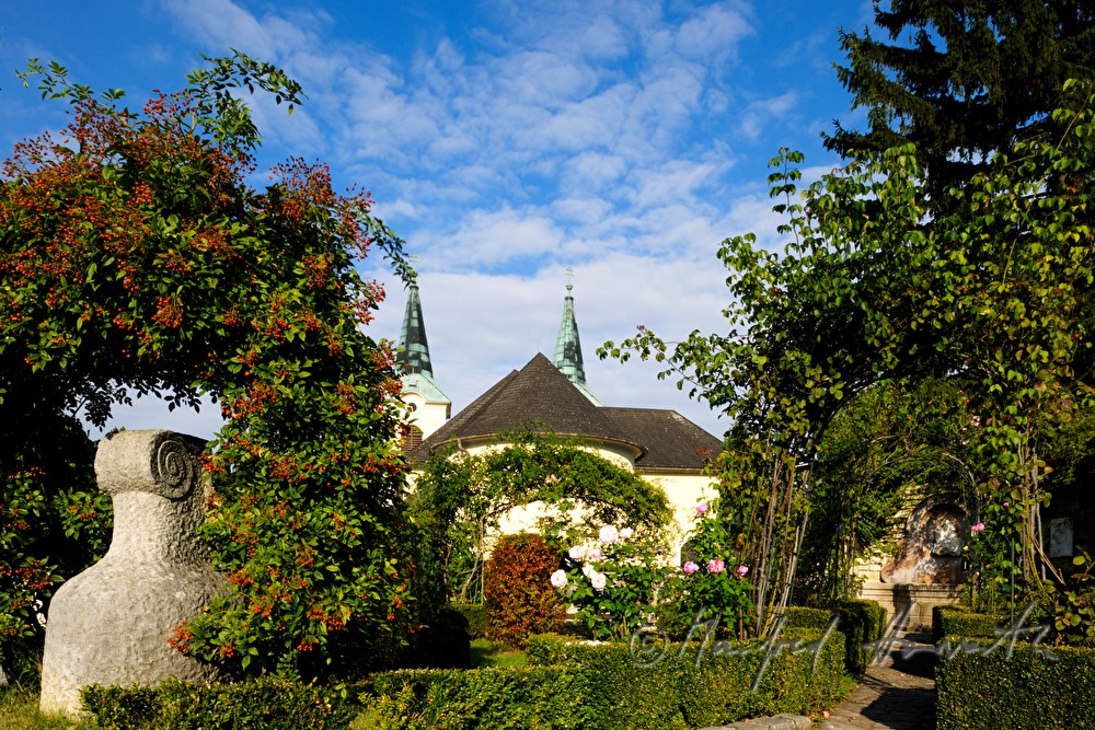 rose garden 