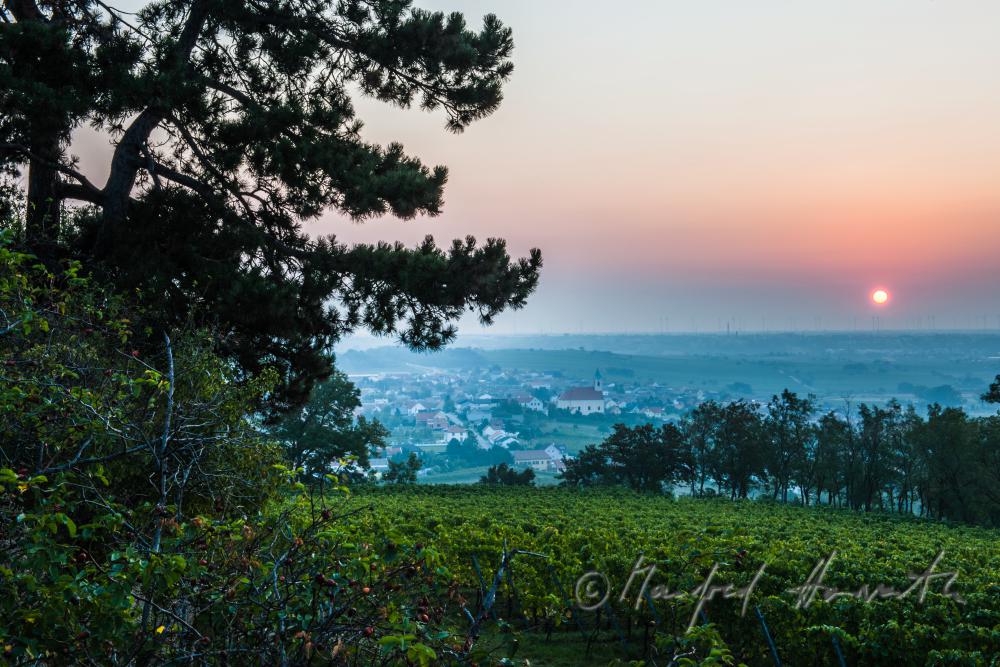view fron the slopes of the Leithagebirge