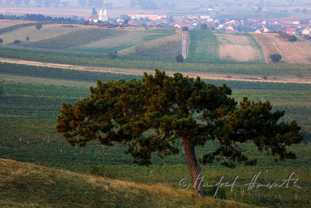 view from Hackelsberg to Winden