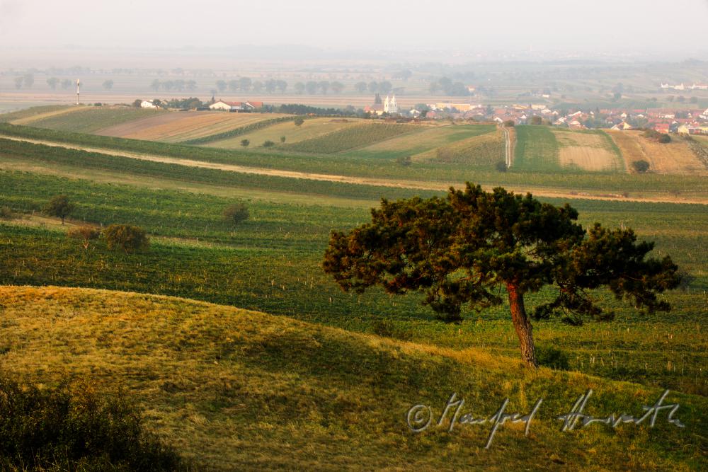 view from Hackelsberg to Winden