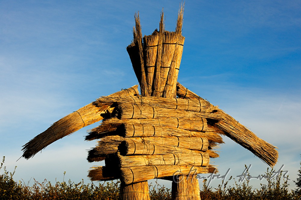 robot-sculpture made of reed