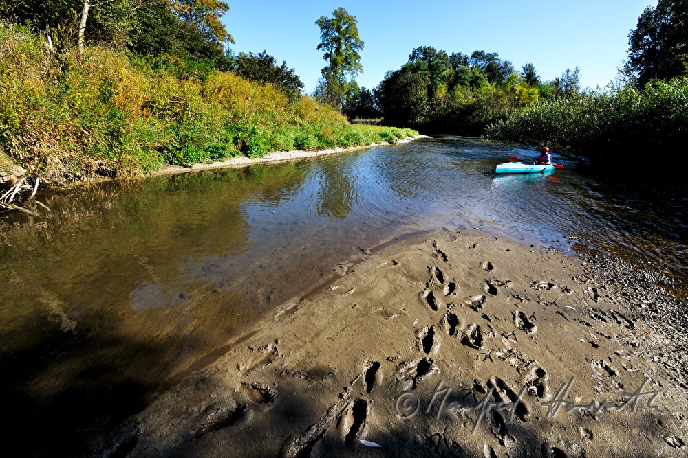 kajakers in a quiet meander