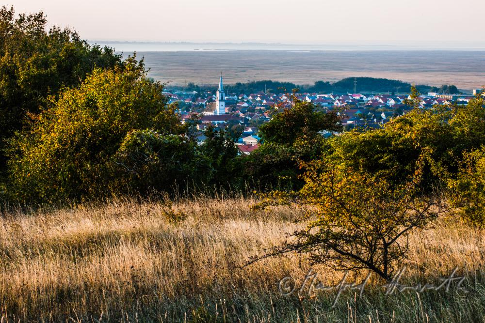 view tfrom the Leithagebirge to the Neusiedlersee