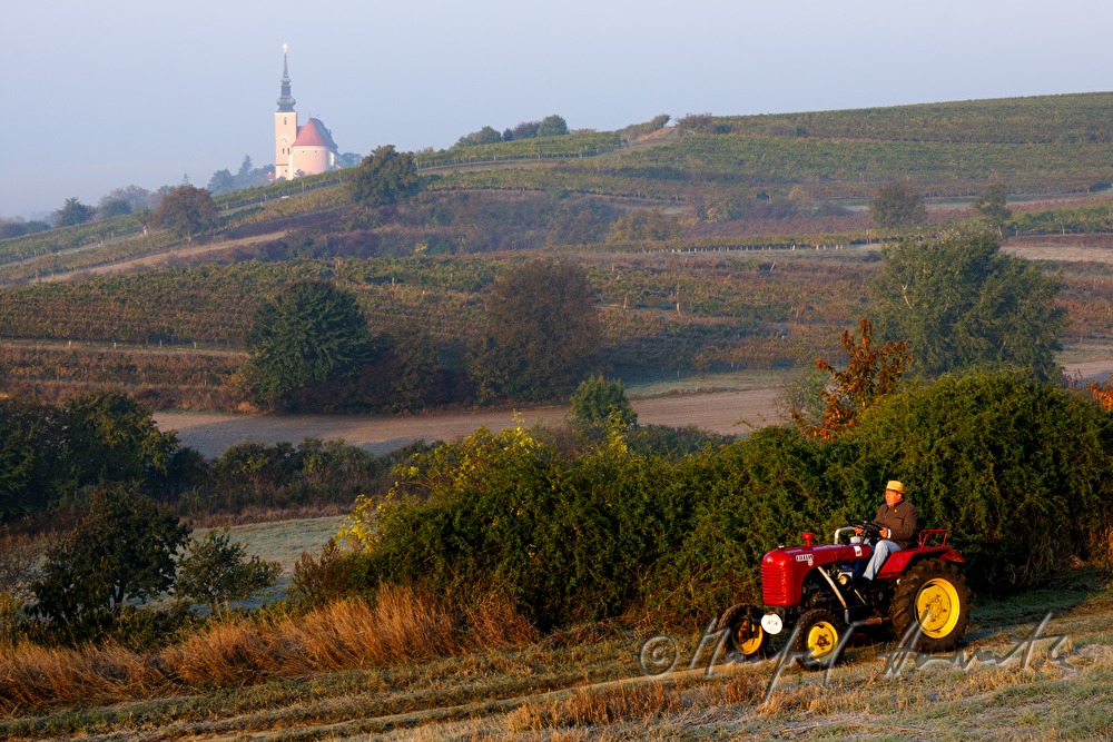 oldtimer-tractor drive through the landscape
