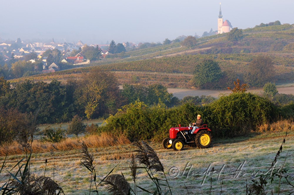oldtimer-tractor drive through the landscape