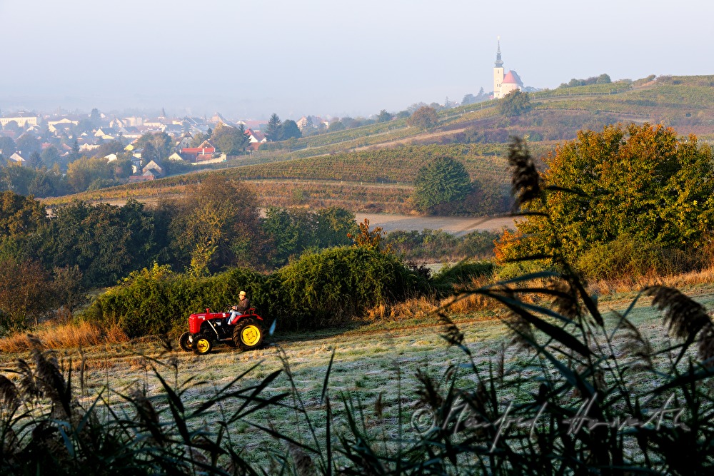oldtimer-tractor drive through the landscape