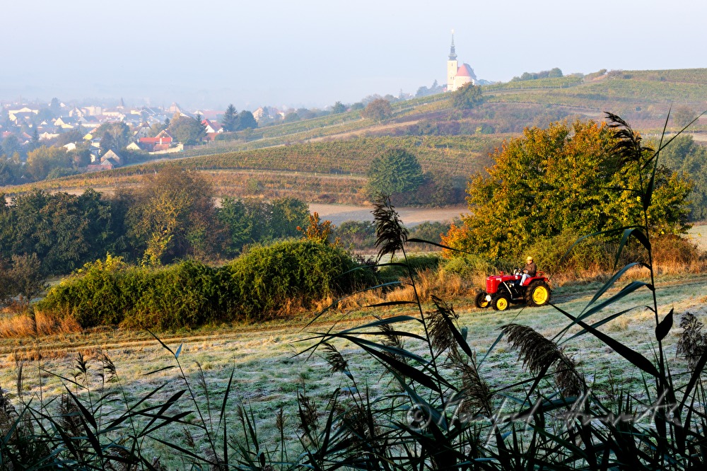 oldtimer-tractor drive through the landscape