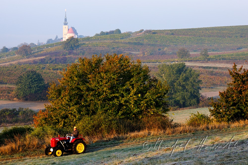 oldtimer-tractor drive through the landscape