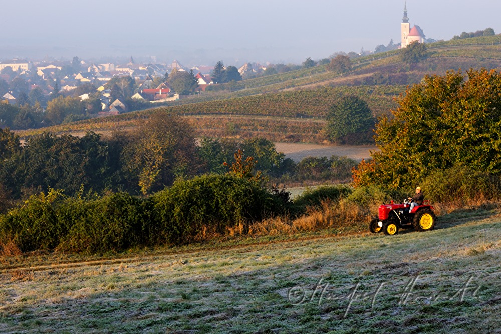 oldtimer-tractor drive through the landscape