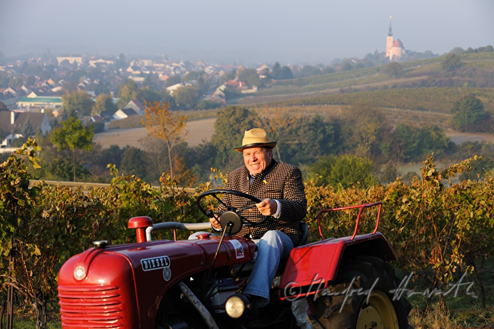 oldtimer-tractor drive through the landscape