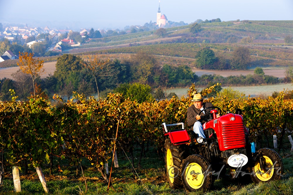 oldtimer-tractor drive through the landscape