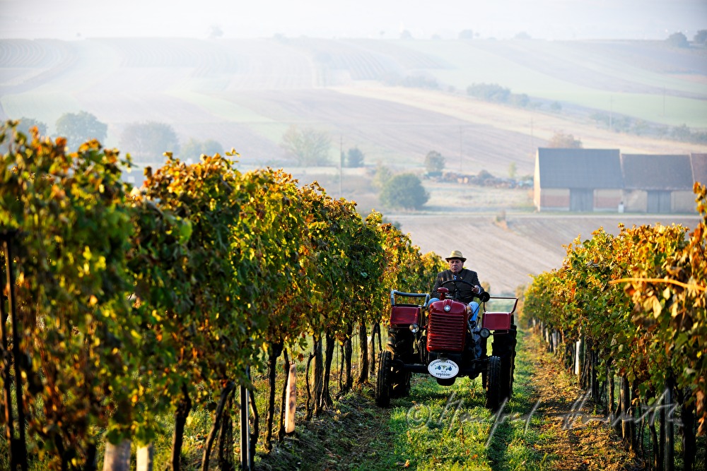 oldtimer-tractor drive through the landscape