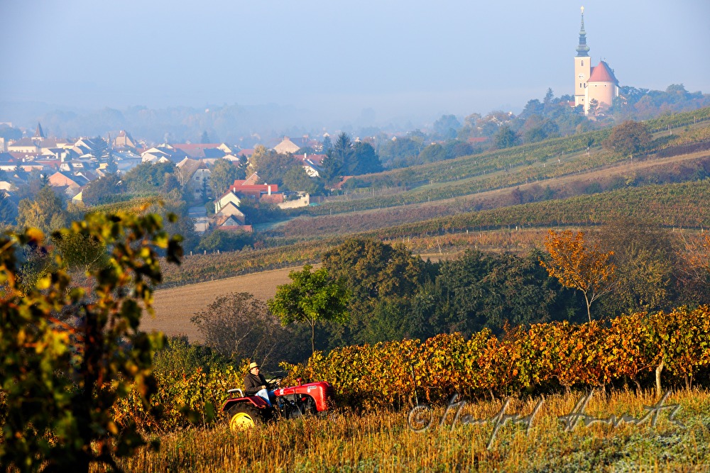 oldtimer-tractor drive through the landscape