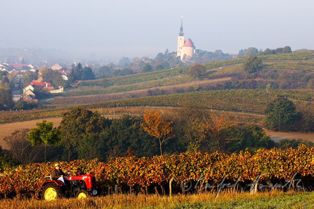 oldtimer-tractor drive through the landscape