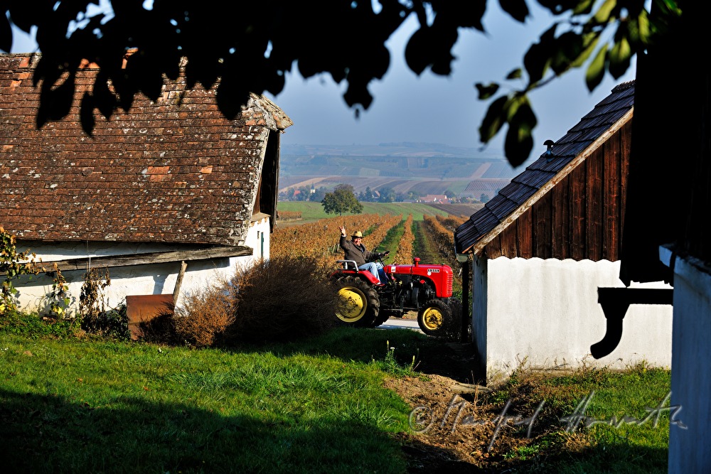 oldtimer-tractor drive through the landscape