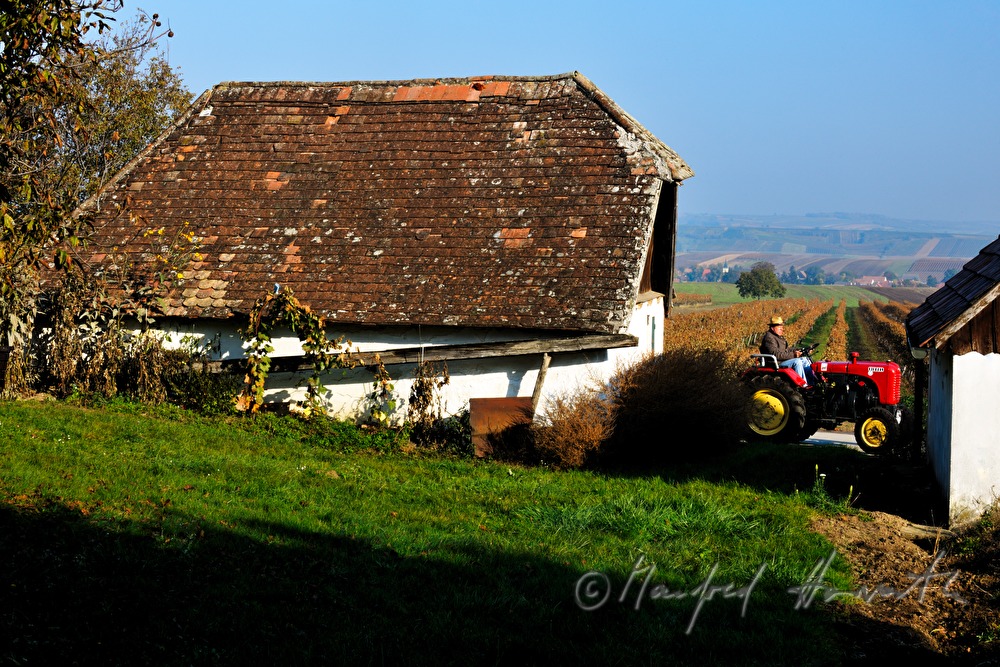 oldtimer-tractor drive through the landscape