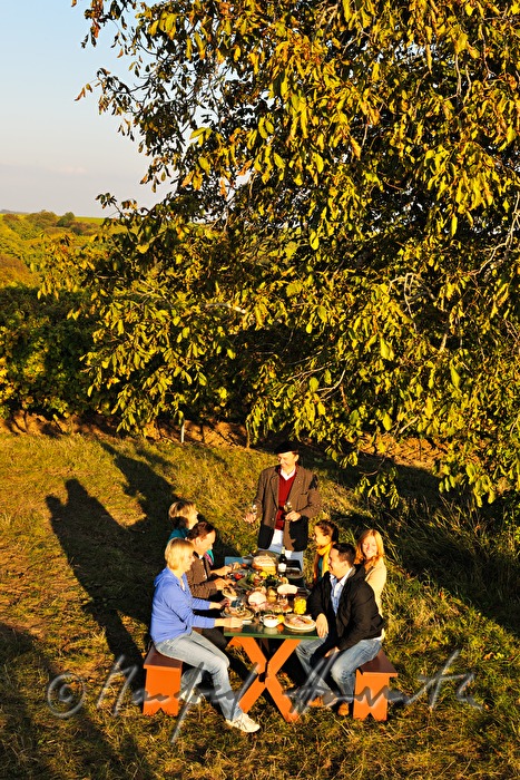 family celebration in the vineyard
