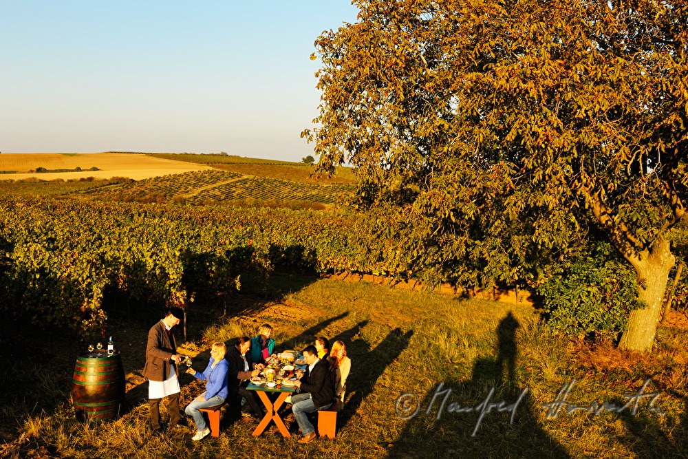family celebration in the vineyard