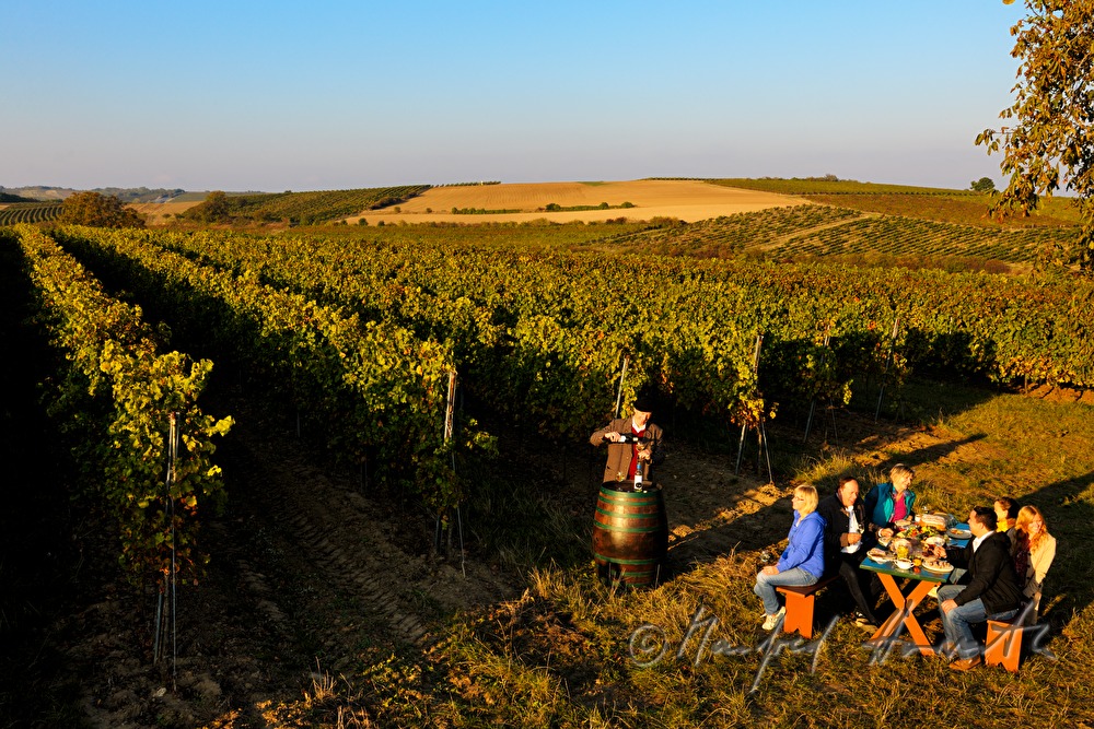 family celebration in the vineyard