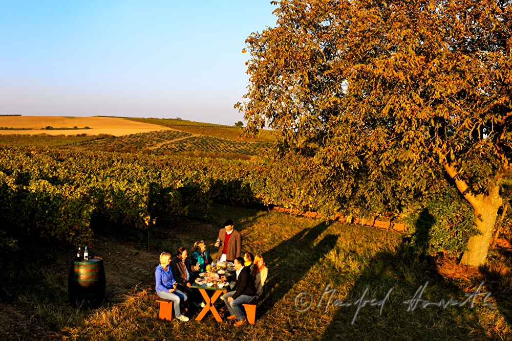 family celebration in the vineyard
