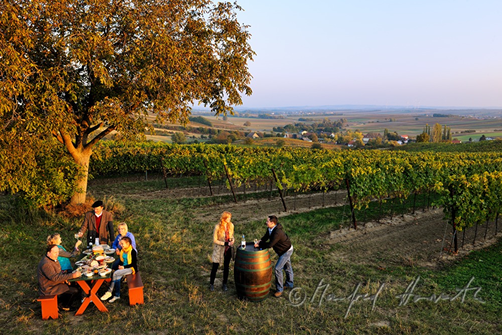 family celebration in the vineyard
